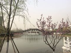 -西海子公园