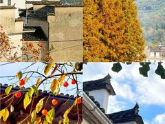 -塔川景区