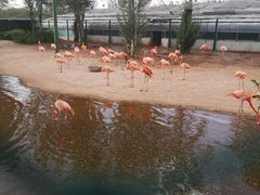 -鄂尔多斯野生动物园