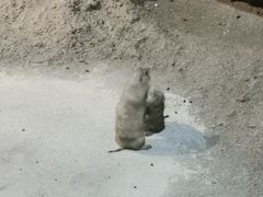-苏州海洋馆