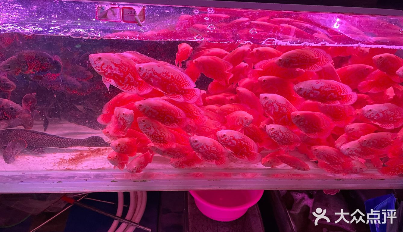 西仓记忆，感受浓厚的生活气息来这里