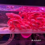 西仓记忆，感受浓厚的生活气息来这里