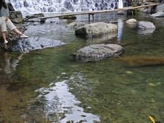 -石台牯牛降景区