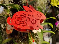 -北京植物园-展览温室