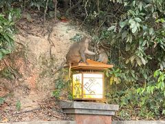 -鹿回头风景区