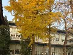 -国家图书馆·古籍馆