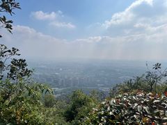 -杭州半山国家森林公园