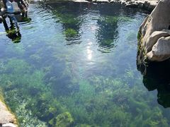 -济南大明湖景区