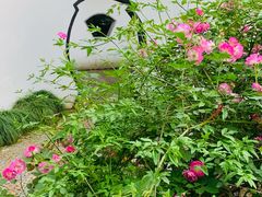 -上海醉白池公园