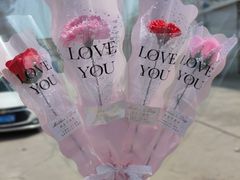 -双季花艺园艺市场(浦东店)