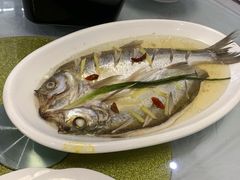 清蒸白鱼-丫丫蟹庄·苏式园林农家乐·阳澄湖大闸蟹(阳澄湖莲花岛店)