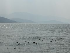 -南诏风情岛