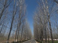 -佰烧海鲜烤肉火锅自助(世茂国际广场店)