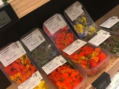 -乐蓬马歇百货公司(Rive Gauche)