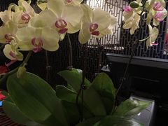 -丽晶轩中餐厅(重庆丽晶酒店)