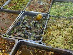 -枣阁园滴滴自助餐