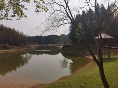 -千岛湖龙川湾