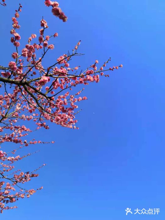 白塘生态植物园图片