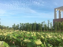 -珠海科技学院-图书馆