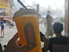 -西双版纳傣族园
