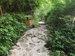 -青峰峡国家森林公园