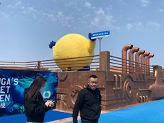 -秦皇岛乐岛海洋王国