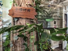 -丽江庭院之丽江往事(安定门店)