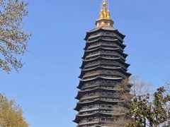 -红梅公园