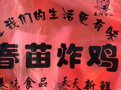 -春苗炸鸡