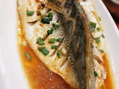 大黄鱼葱油-渔中舟海鲜大排档(普陀沈家门店)