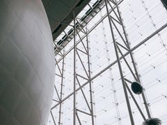 -美国自然历史博物馆