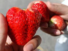 -晓庄学院-食堂