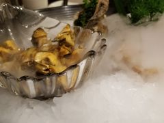 船夫大海螺-味茂·老船夫1927(东海东路店)