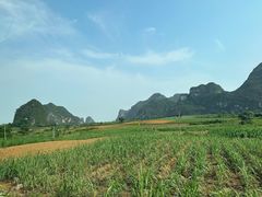 -明仕田园