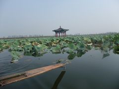 -白洋淀景区
