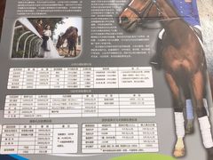 -大连凯洋马术俱乐部有限公司