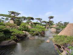 -罗红摄影艺术馆