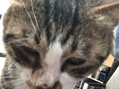 -玉椰林甜品店(创始店)