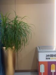 -南京康美美容医院·旗舰店