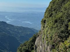 -霍顿平原国家公园
