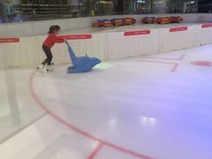 -TheRink大零溜冰场(IFS国金中心店)