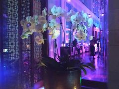 -The Penthouse酒吧