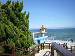 -小麦岛公园