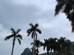 -南宁花花大世界景区