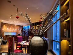 -广州富力君悦大酒店空中花园