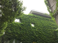 -兰边碗(鼓楼店)