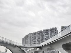 -中和裴氏蹄花(府河路店)
