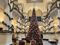 -Salon de Ville浦江汇(上海外滩华尔道夫酒店店)