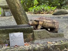 -伊岭岩风景区
