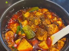-陈麻婆豆腐总店